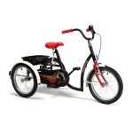 Tricicletă pentru copii cu dizabilităţi Vermeiren Sporty
