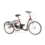 Tricicletă pentru copii cu dizabilităţi Vermeiren LIBERTY