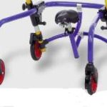 Rotile din faţă cu direcţia mişcării fixă