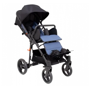 Cărucioare Copii Dizabilități